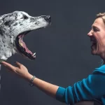 آیا حیوانات واقعاً می توانند بوی ترس را در انسان حس کنند؟