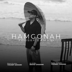 دانلود آهنگ جدید همگناه از با صدای یوسف زمانی